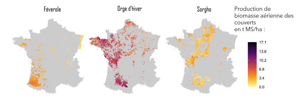 Carte production biomasse aérienne des couverts