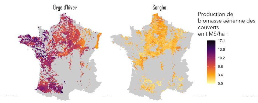 Carte de production biomasse des couverts