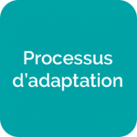 Processus d'adaptation