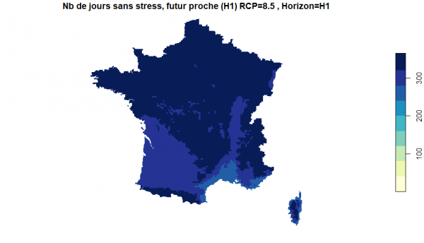 Cas du scénario climatique RCP=8.5 /  Nb de jours sans stress, futur proche (H1) RCP=8.5 Horizon=H1